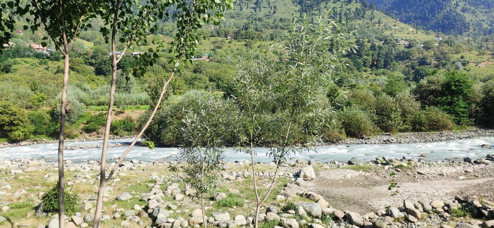 Dream River Resort Pahalgām Eksteriør billede
